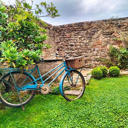 Badia Giulia Prestigious Historical B&B, Camaiore - Adults Only - No Pets ภายนอก รูปภาพ