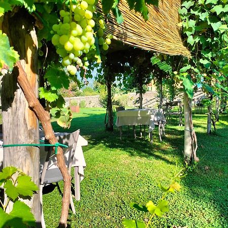 Badia Giulia Prestigious Historical B&B, Camaiore - Adults Only - No Pets ภายนอก รูปภาพ
